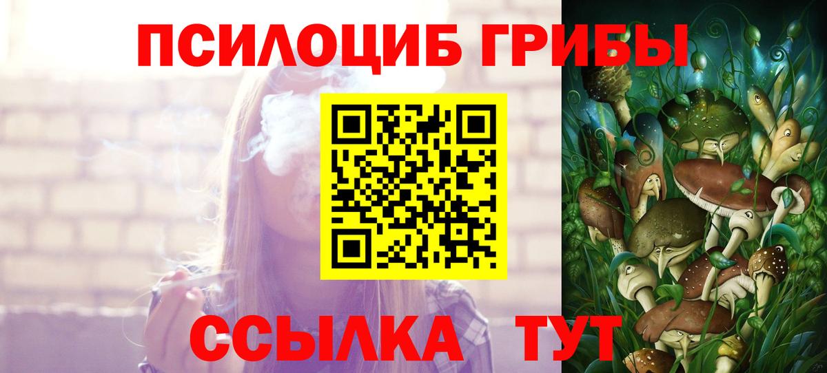 Галлюциногенные грибы прущие грибы Заволжье